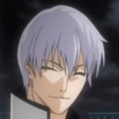 Portrait of Gin Ichimaru