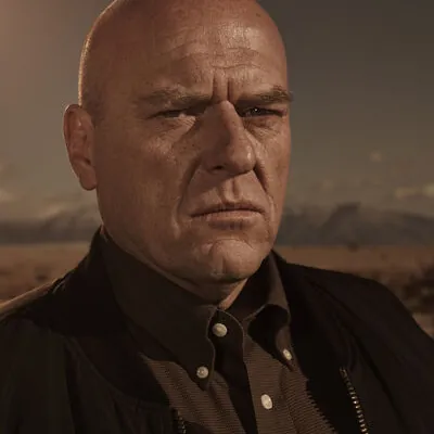Portrait of Hank Schrader